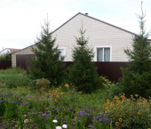 коттедж 217 кв м ул Пушкина, 248