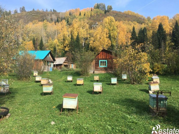 Земельный участок Чарышский район, село Майорка
