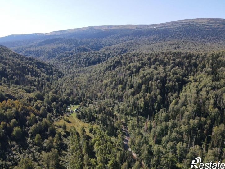 Земельный участок Чарышский район, село Майорка