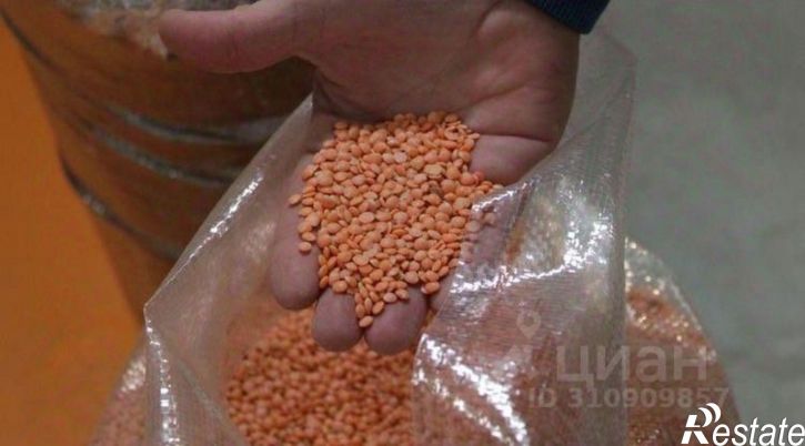 Производственное помещение Рубцовск г., Некрасова ул., д.8