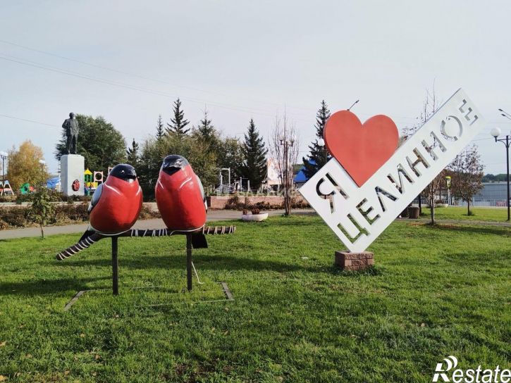 1-комн квартира Целинный район, село Целинное