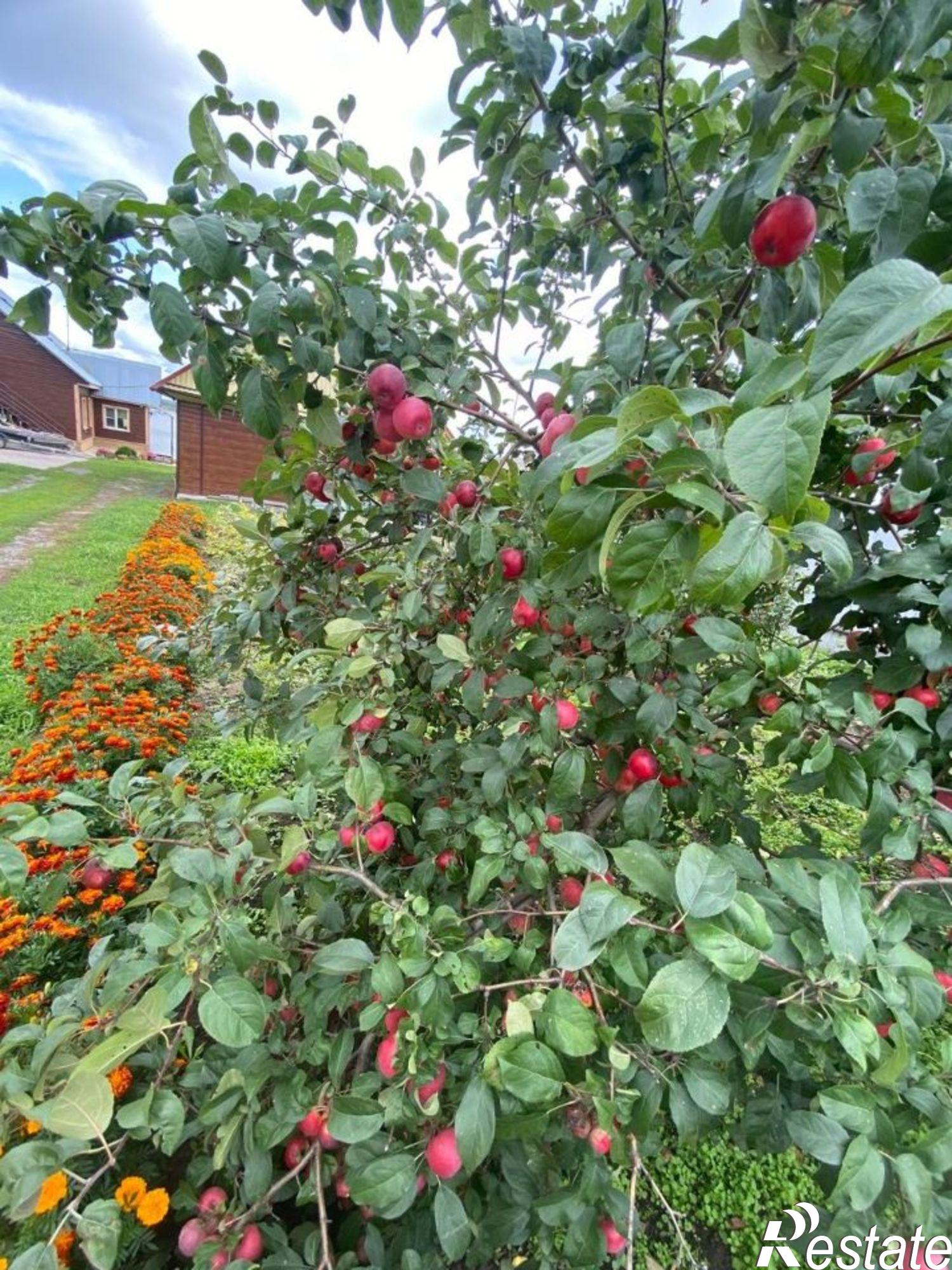Купить дачу, дом, коттедж за 9 000 000 рублей на Крутихинский район