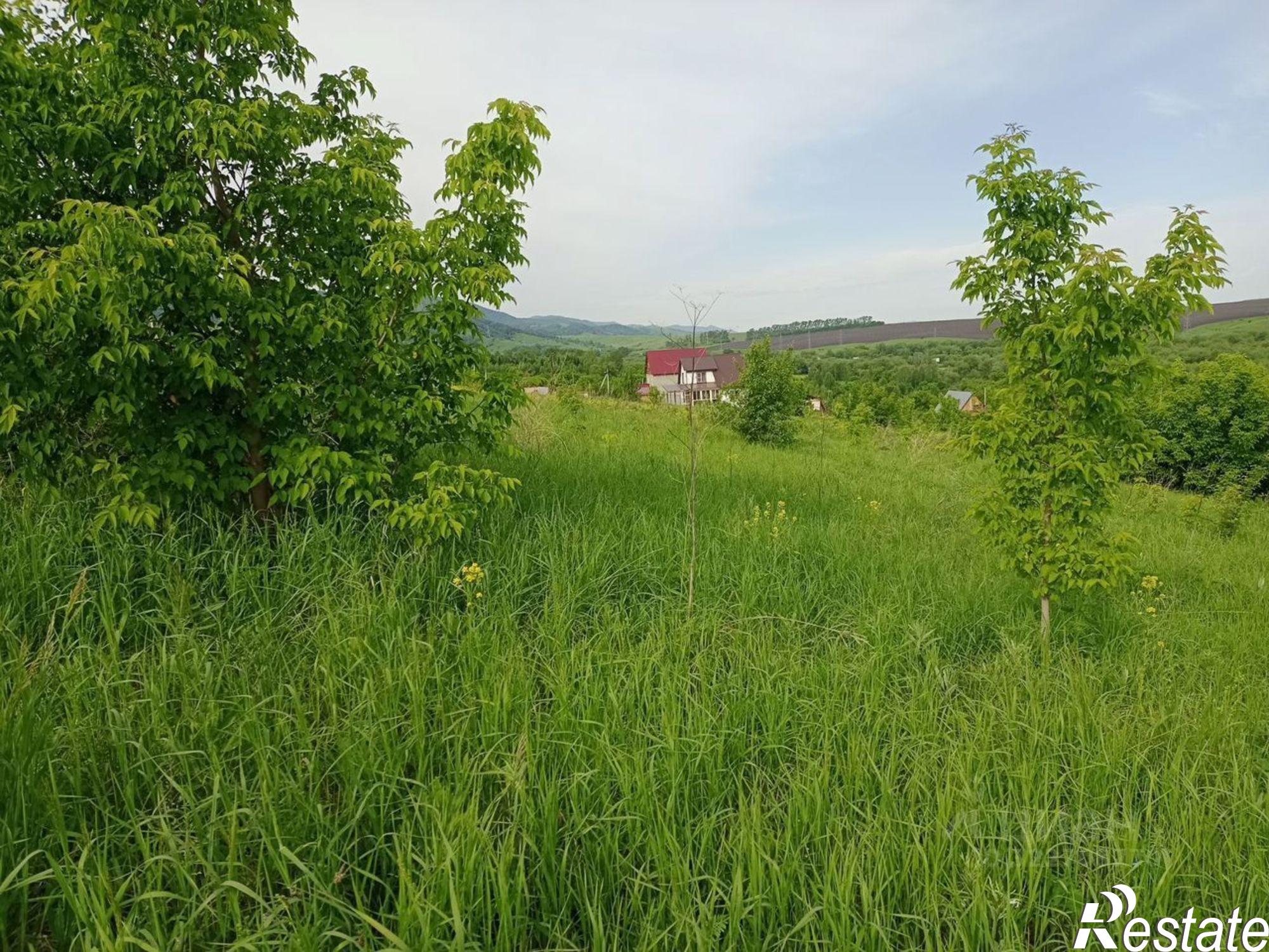 Купить землю, земельный участок за 17 500 000 рублей на Белокуриха