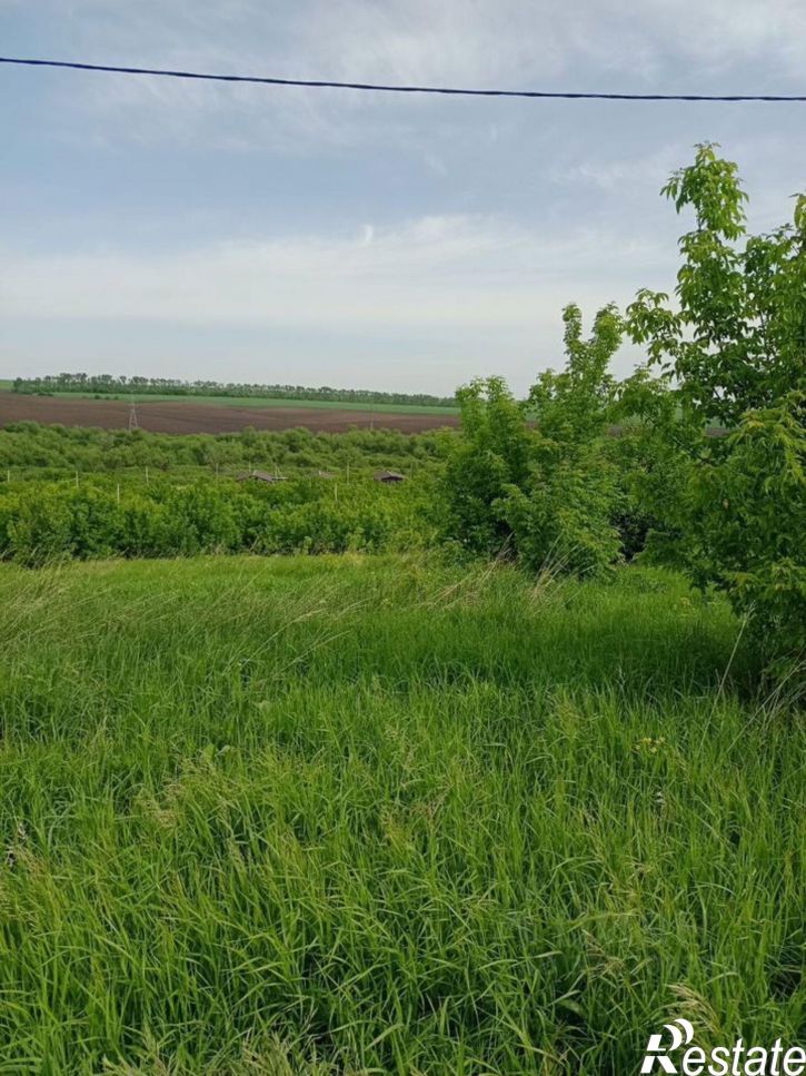 Земельный участок Белокуриха