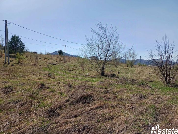 Земельный участок Белокуриха