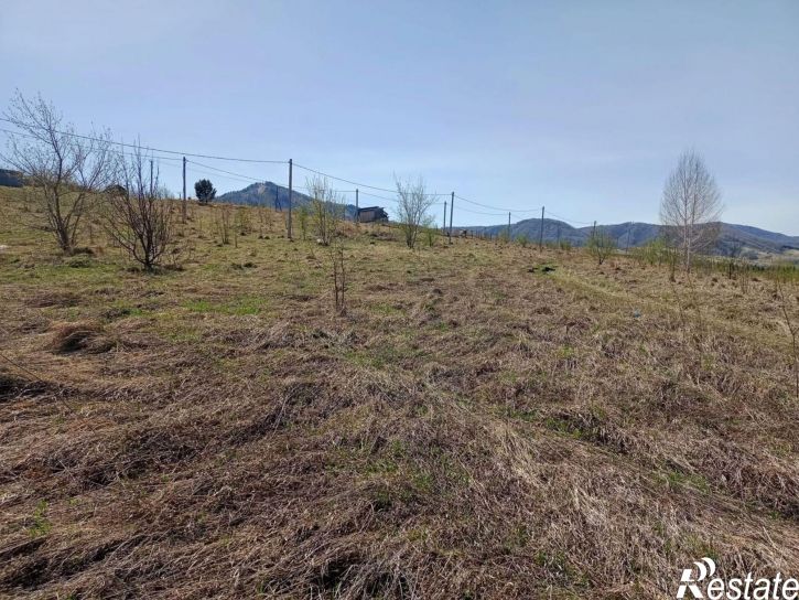 Земельный участок Белокуриха