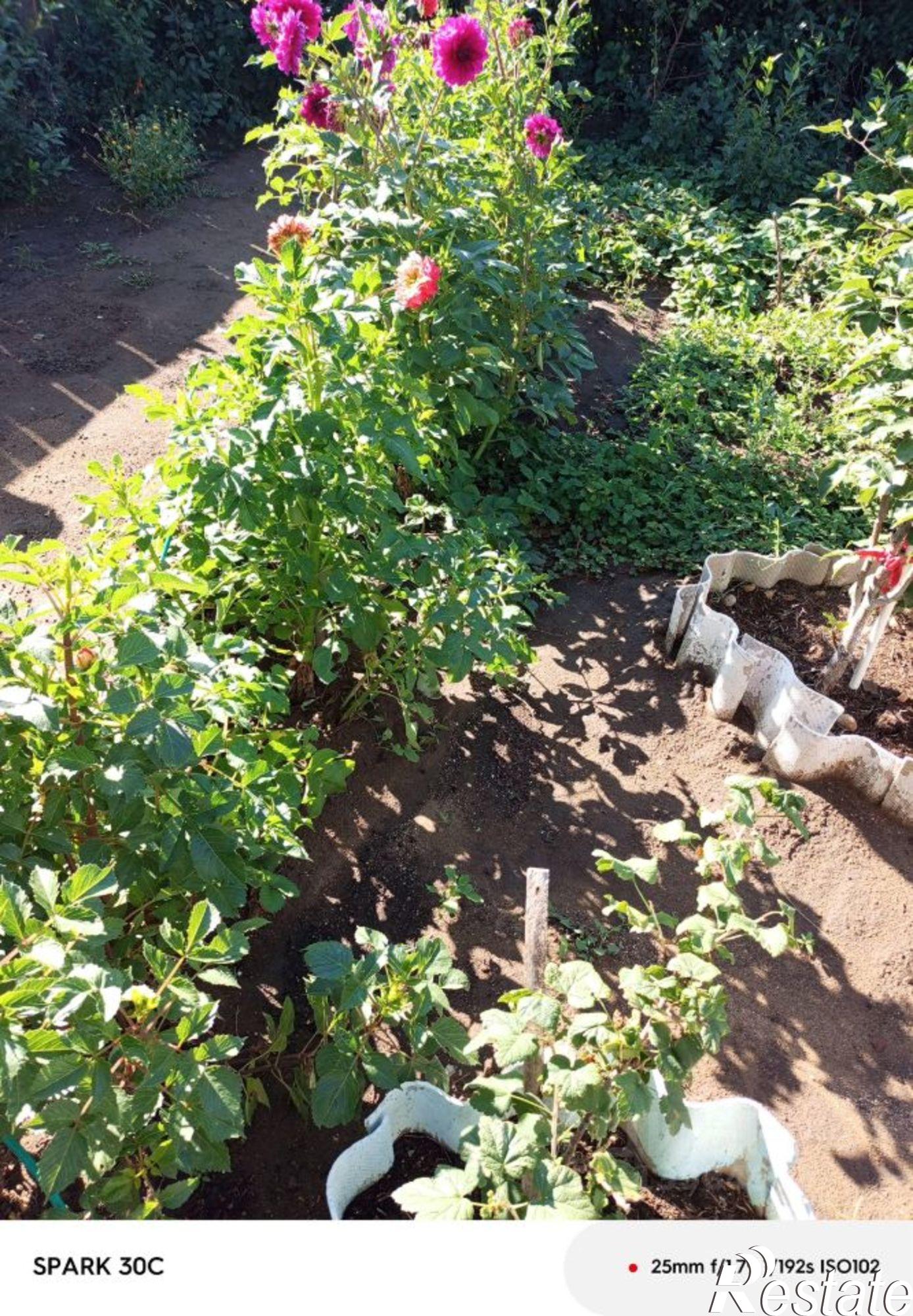 Купить дачу, дом, коттедж за 6 500 000 рублей на Табунский район