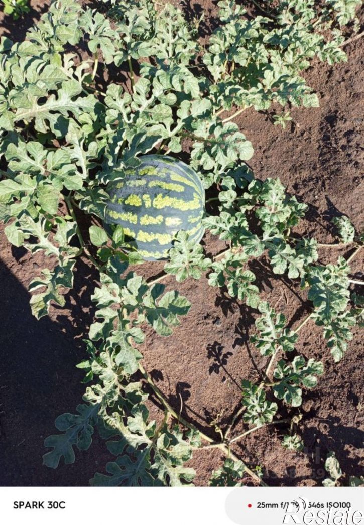 Коттедж/дом Табунский район