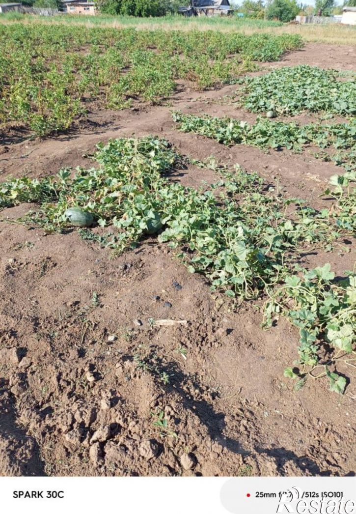 Коттедж/дом Табунский район