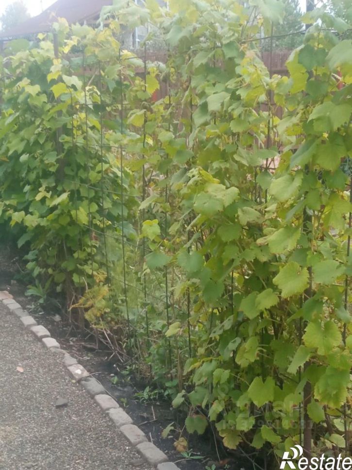 Коттедж/дом Первомайский район