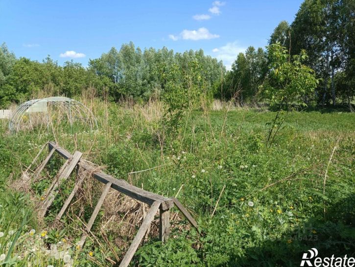Земельный участок Косихинский район