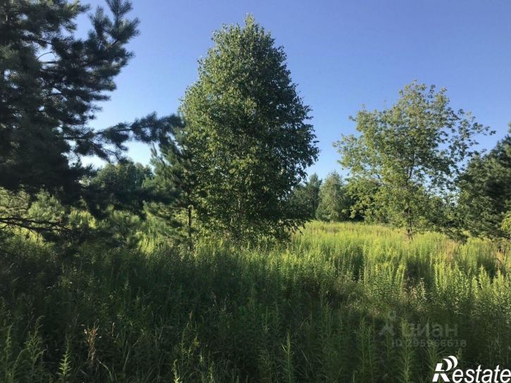 Земельный участок Бийский район, село Ключи
