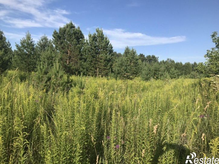 Земельный участок Бийский район, село Ключи