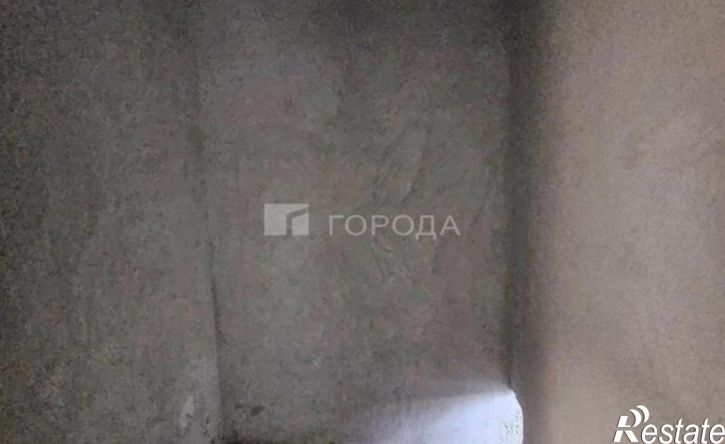2-комн квартира Барнаул, улица Анатолия, 304