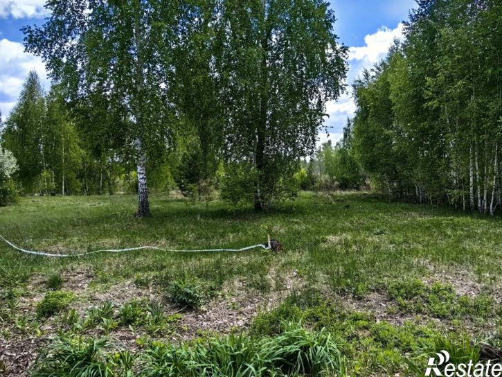 Земельный участок Бийский район, СДТ Аэрофлот