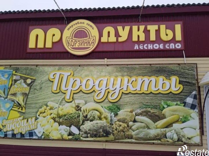 Торговое помещение Восточный пер, 1,  д. 1