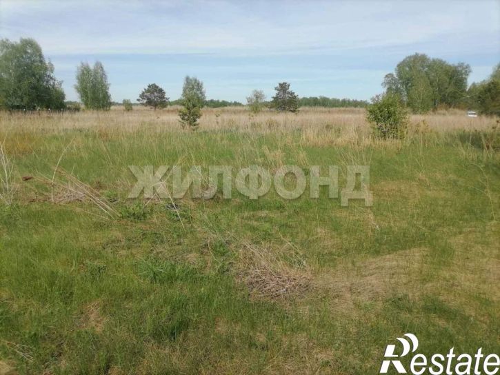 Земельный участок село Фирсово