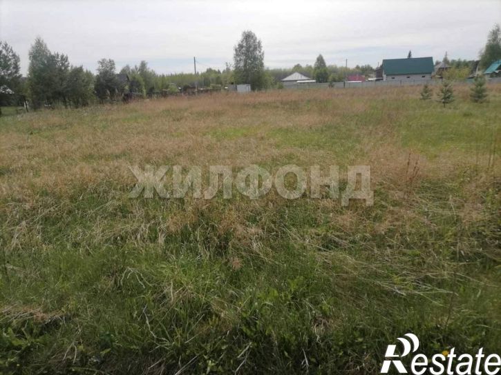 Земельный участок село Фирсово