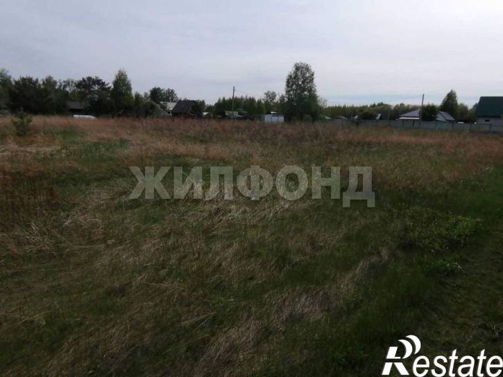 Земельный участок село Фирсово