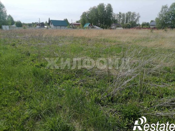 Земельный участок село Фирсово