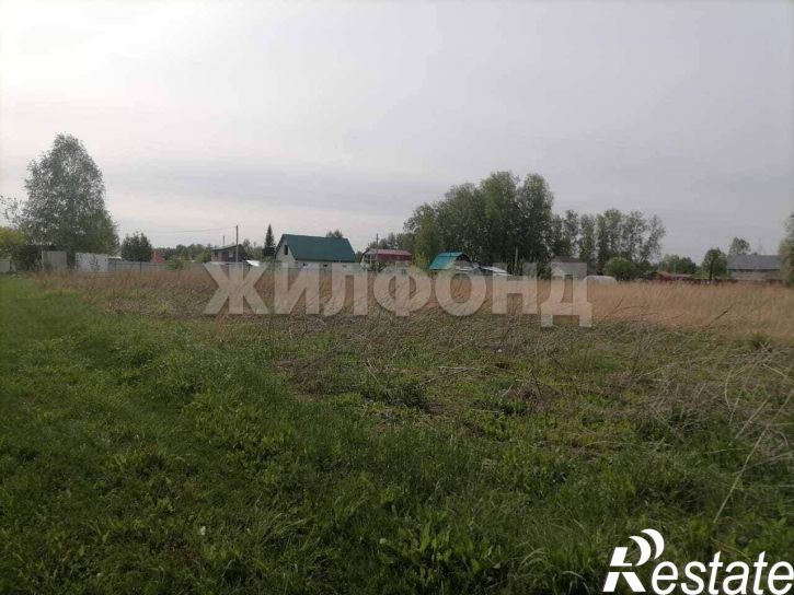Земельный участок село Фирсово