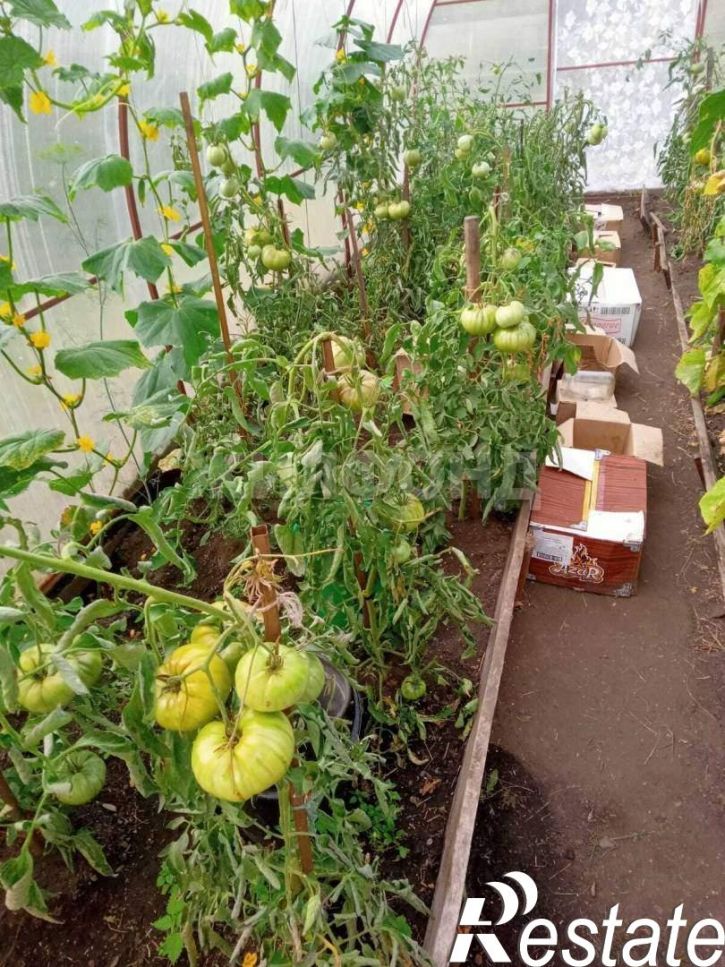 Коттедж/дом Озерная улица
