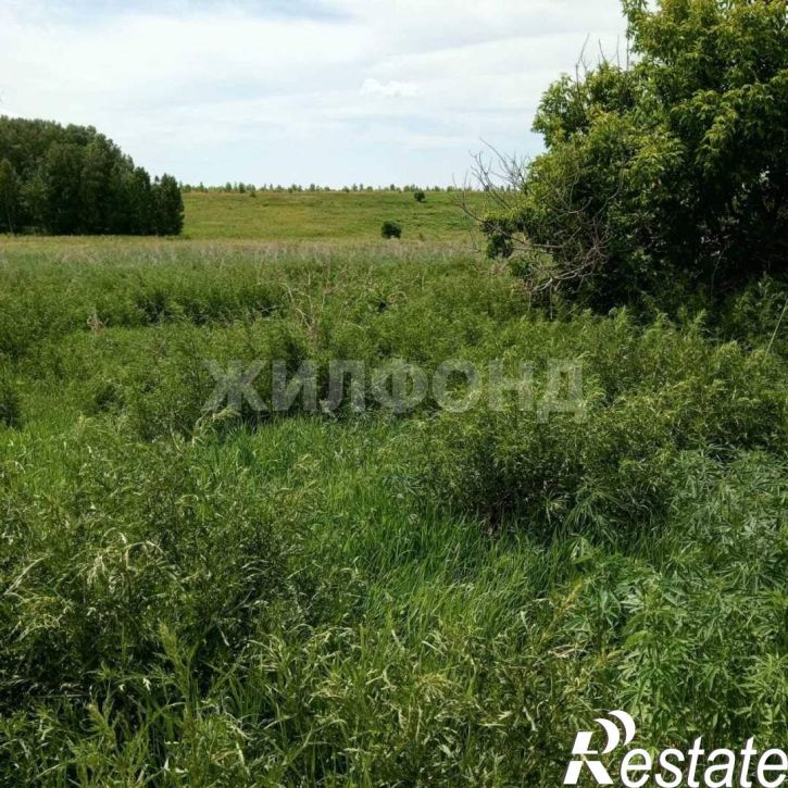 Земельный участок Заречная улица